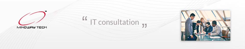 it-consultation